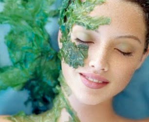 Làm đẹp và giảm cân bằng bí đao