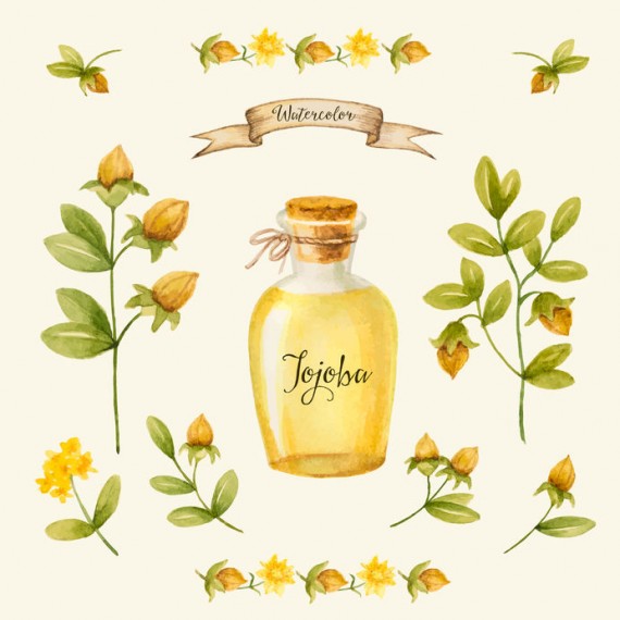 Các loại tinh dầu tốt cho da - Jojoba