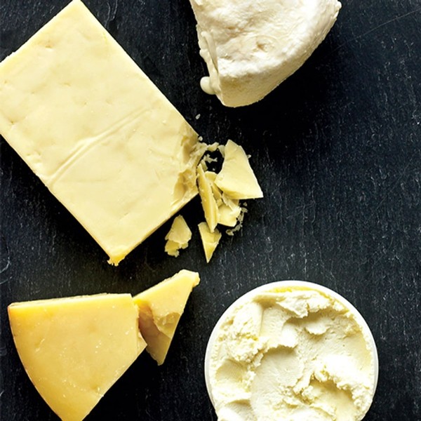 103-feature_source-milk-fed-cheese_500x905-28fe7