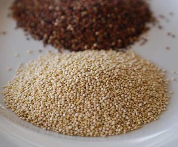 Quinoa - thực phẩm "vàng” giúp giảm cân nhanh nhất Quinoa - “Thực phẩm vàng” cho sức khỏe và sắc đẹp của bạn