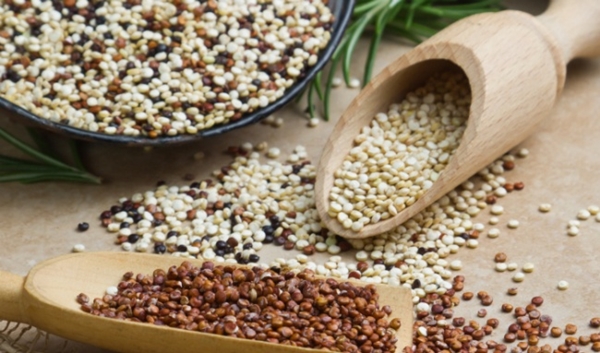 Quinoa - thực phẩm "vàng” giúp giảm cân nhanh nhất Quinoa - “Thực phẩm vàng” cho sức khỏe và sắc đẹp của bạn
