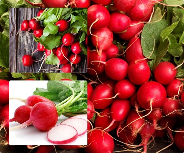 Giảm cân với củ cải