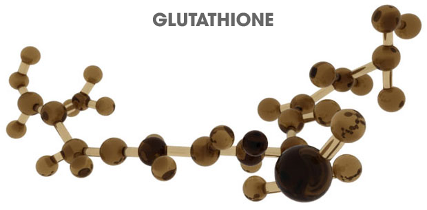 nhau-thai-ngua-va-l-glutathione-than-duoc-cho-sac-dep