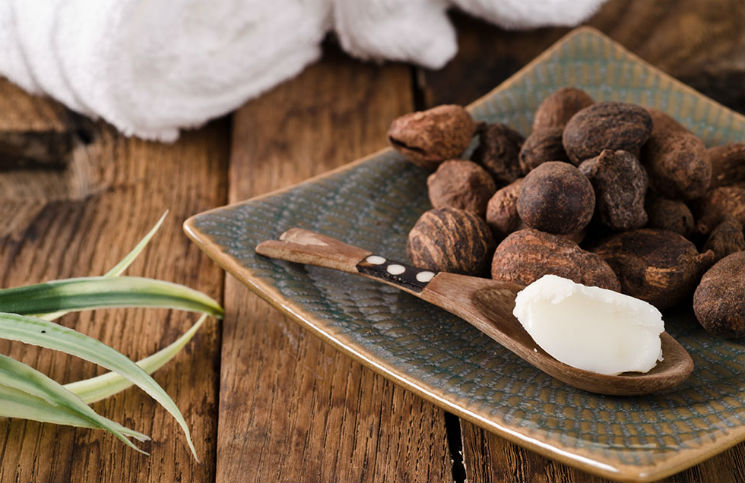 Hãy thử bơ cacao trong công thức cách chữa bệnh nám da mặt hiệu quả