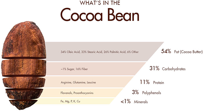 Bơ cacao – “siêu nhân” cung cấp độ ẩm và dinh dưỡng cho làn da đẹp tự nhiên