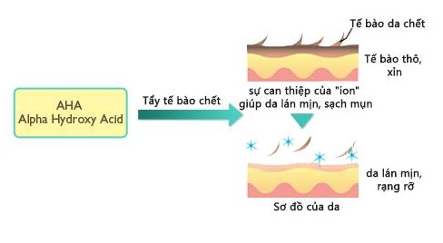 alpha-hydroxy-acids-diet-sach-mun-va-vet-tham-cho-lan-da-sang-min-2