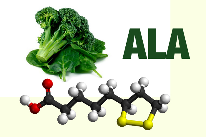 Alpha Lipoic Acid (ALA)