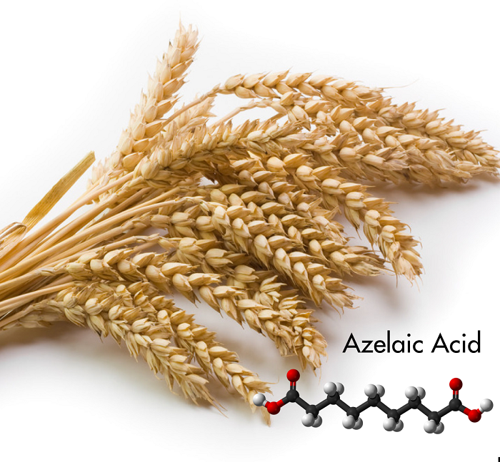 Azelaic acid xuất hiện trong các loại ngũ cốc như lúa mạch và lúa mì