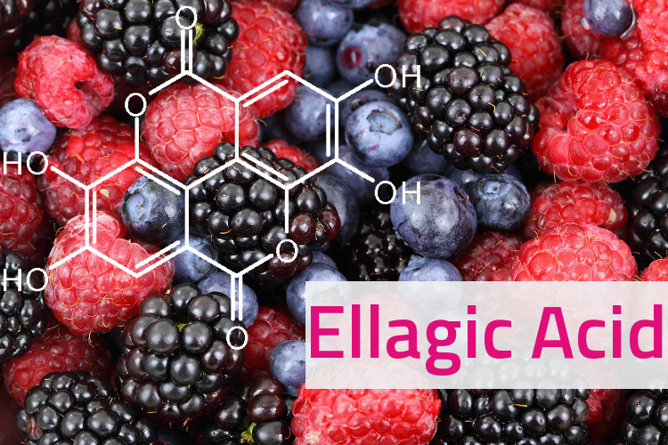 ellagic acid – giải pháp giảm nám mới mang lại làn da trắng sáng, mịn màng