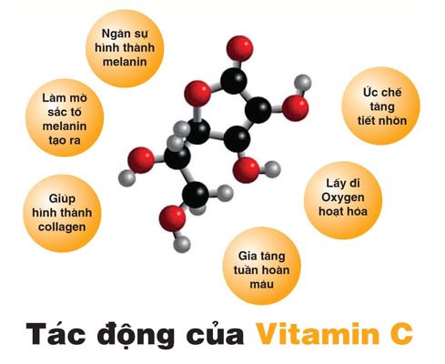 Tác động của Vitamin C