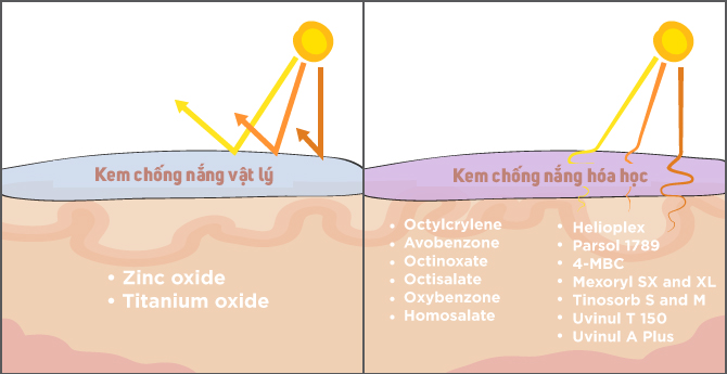 Sự khác biệt giữa kem chống nắng vật lý và hóa học