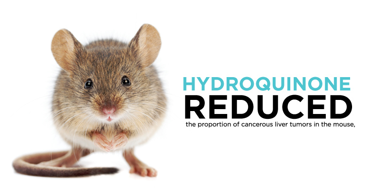 Nghiên cứu trên chuột cho Hydroquinone không gây nguy hiểm cho người dùng