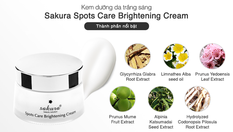 Thành phần nổi bật có trong Kem dưỡng da trắng sáng Sakura Spots Care Brightening Cream