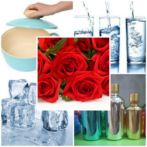 2 bước tự chế nước hoa hồng tại nhà đơn giản