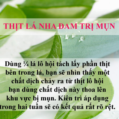 Trị sạch mụn chỉ mất vài nghìn bằng lá cây