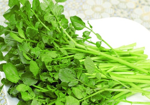 Những loại rau xanh dễ kiếm giúp tăng kích thước vòng một