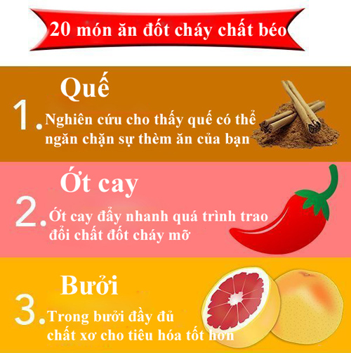 20 món ăn giúp bạn đốt cháy chất béo