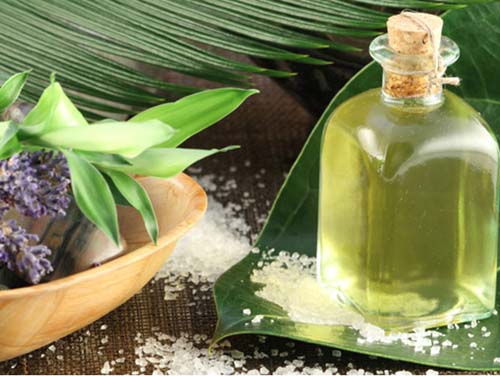 Tàn nhang sẽ bị đánh bay không trở lại nhờ dầu oliu và dầu jojoba