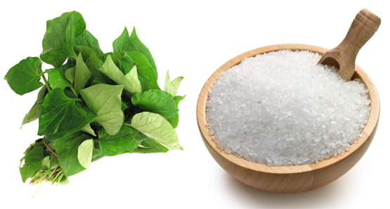 Trị mụn hiệu quả tại nhà với rau diếp cá