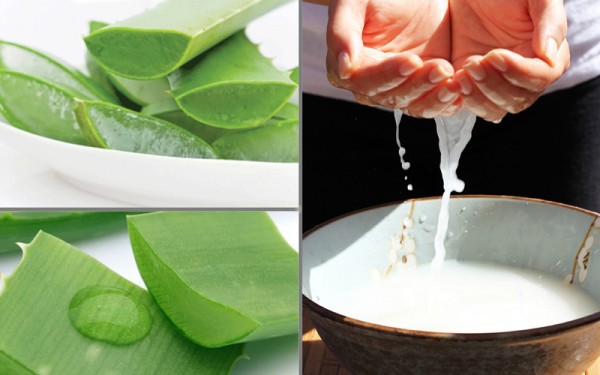 Mặt nạ nước vo gạo và nha đam giúp giảm nám da hiệu quả