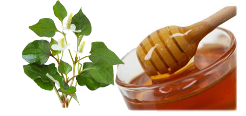 Trị mụn hiệu quả tại nhà với rau diếp cá