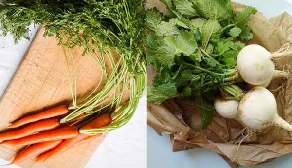 Lá cà rốt và lá củ cải trắng