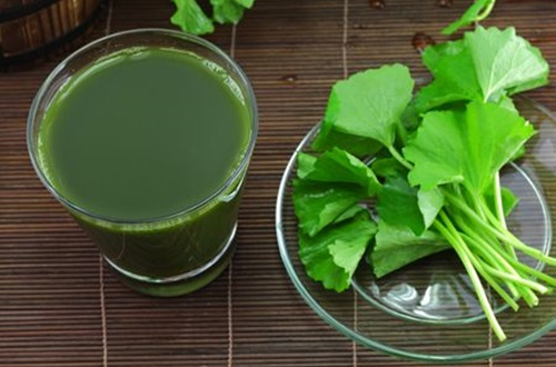 Uống nước rau má mỗi ngày