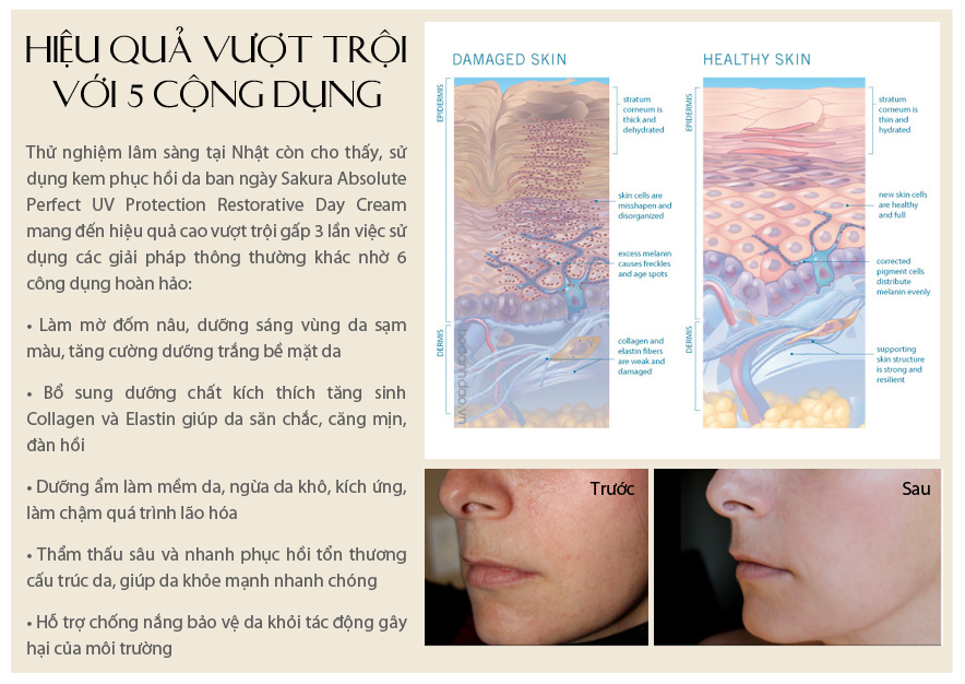 bo-duong-trang-toan-than-nhat-ban-sakura-whitening-set