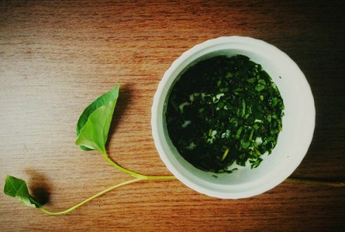 Sử dụng nước ép rau diếp cá