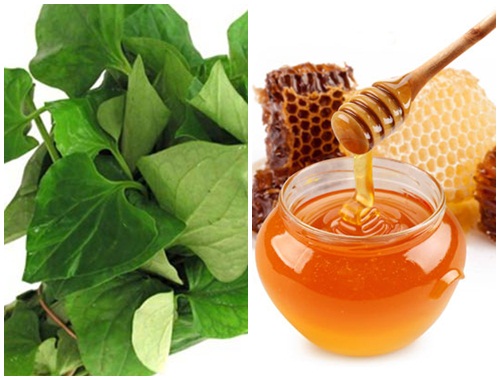 Hỗn hợp rau diếp cá – mật ong