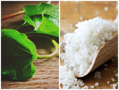 Hỗn hợp rau diếp cá – muối biển