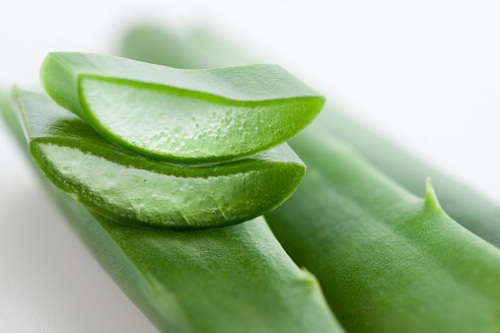 Sử dụng gel nha đam