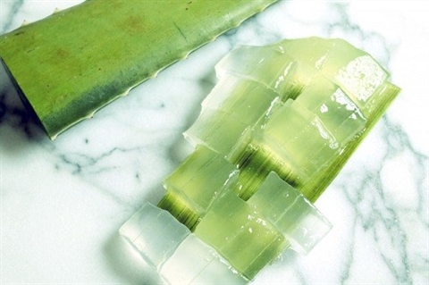 Đắp mặt nạ nha đam