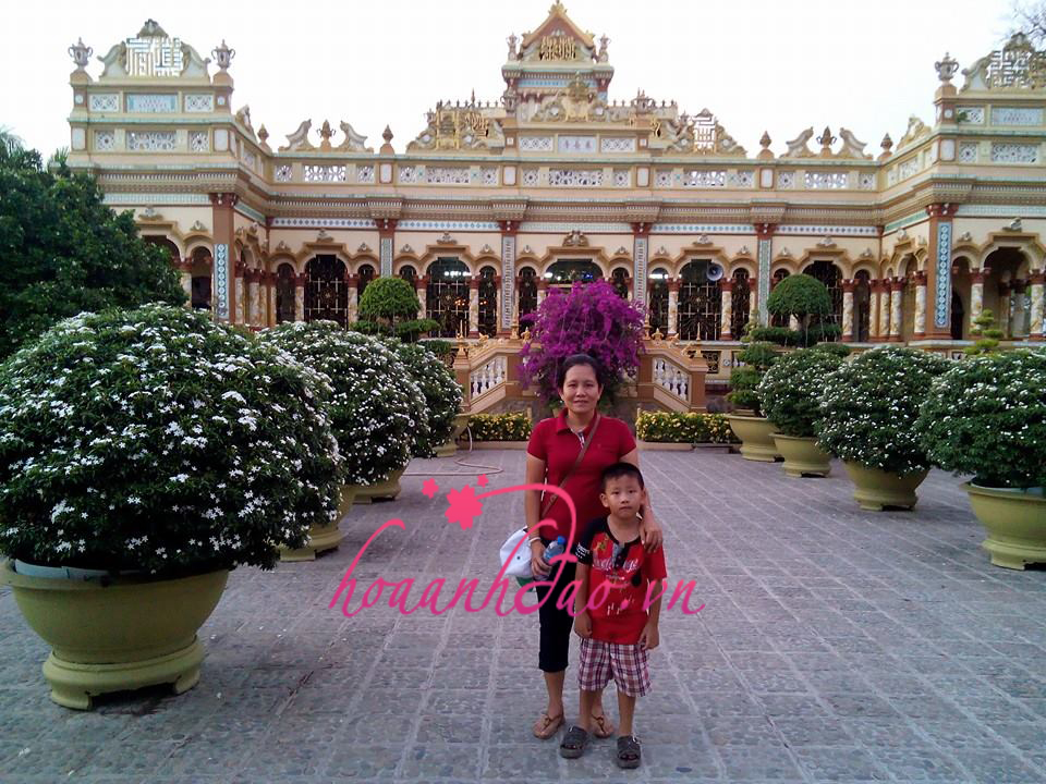 Nghe bảo đã rất nhiều người chữa nám thành công bằng cách này1