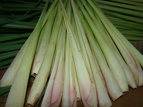 Làm đẹp da