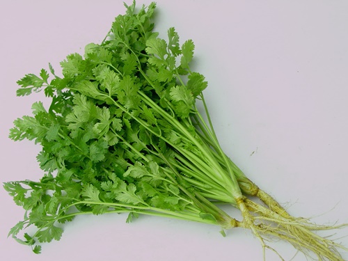  Nếu bạn muốn giảm 5kg chỉ trong 3 ngày hãy uống ngay nước rau mùi.