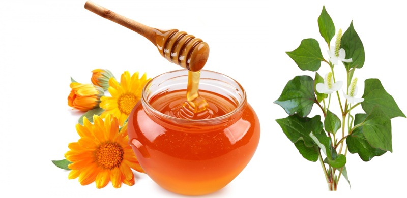 Diếp cá + mật ong giúp da trắng nõn nà