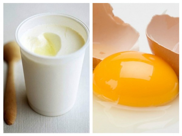 Trứng gà và sữa chua