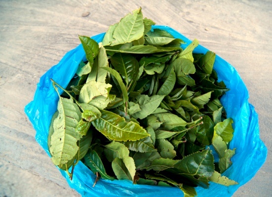 Trị sẹo