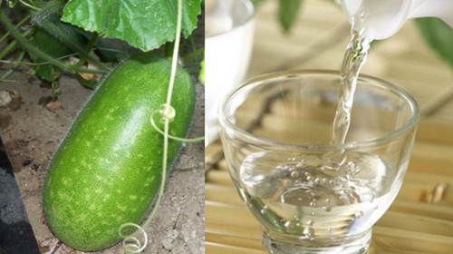 Trị tàn nhang với bí xanh và rượu trắng