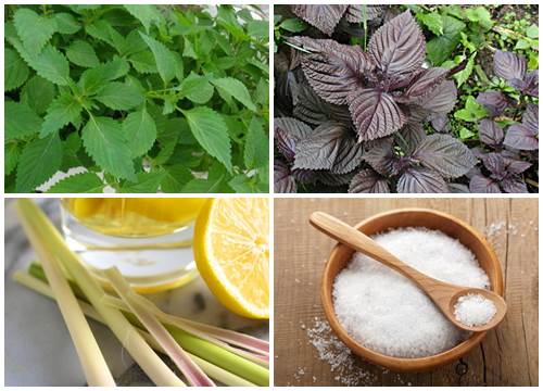 Nguyên liệu cần chuẩn bị