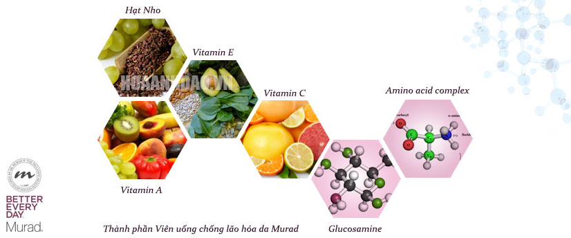 vien-uong-collagen-tre-hoa-da-Murad-Youth-Builder-Collagen-Supplement