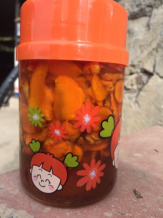 Nghệ