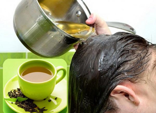Rửa tóc mỗi ngày với trà xanh