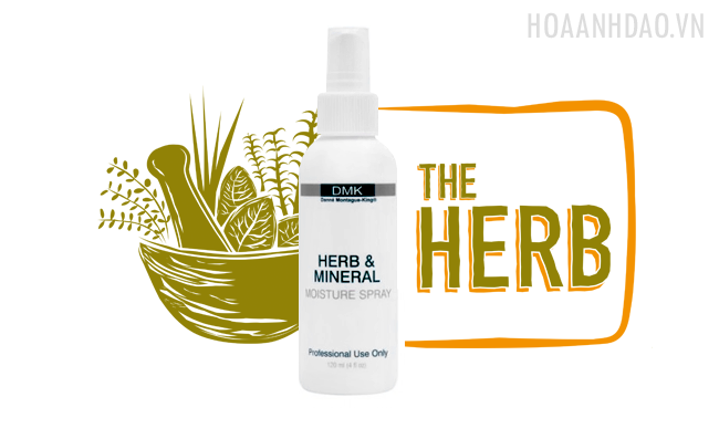 xit-khoang-lam-mat-da-Danne-Montague-King-Herb-Mineral-Mist
