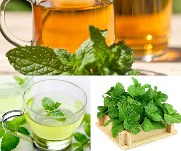 Giảm cân nhanh và an toàn nhất với 5 loại trà thông dụng