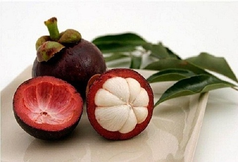 Những công dụng làm đẹp hiệu quả từ vỏ măng cụt