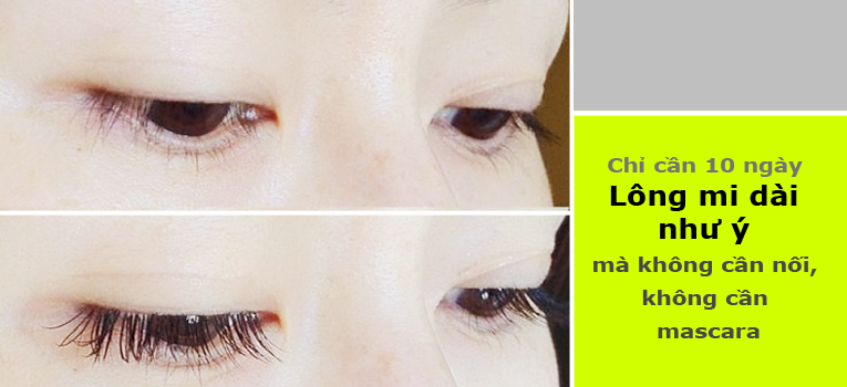 Chỉ 10 ngày: Lông mi dài như ý mà không cần nối, không mascara