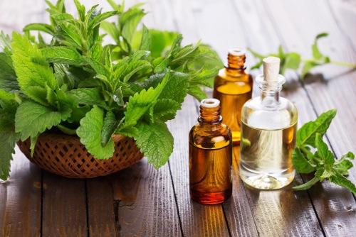 Trị sẹo lồi với tinh dầu ngải đắng
