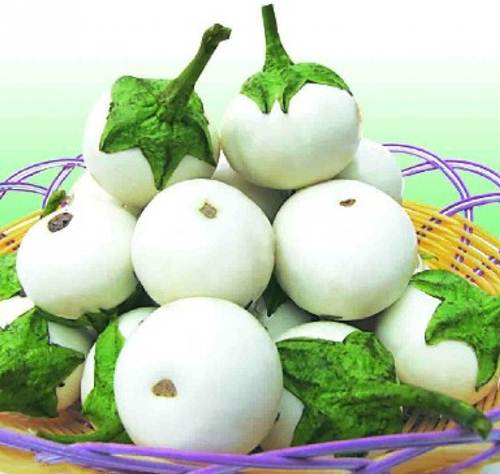 Sạch bong tàn nhang lâu năm sau 1 tuần với bí xanh và cà trắng đơn giản, dễ làm